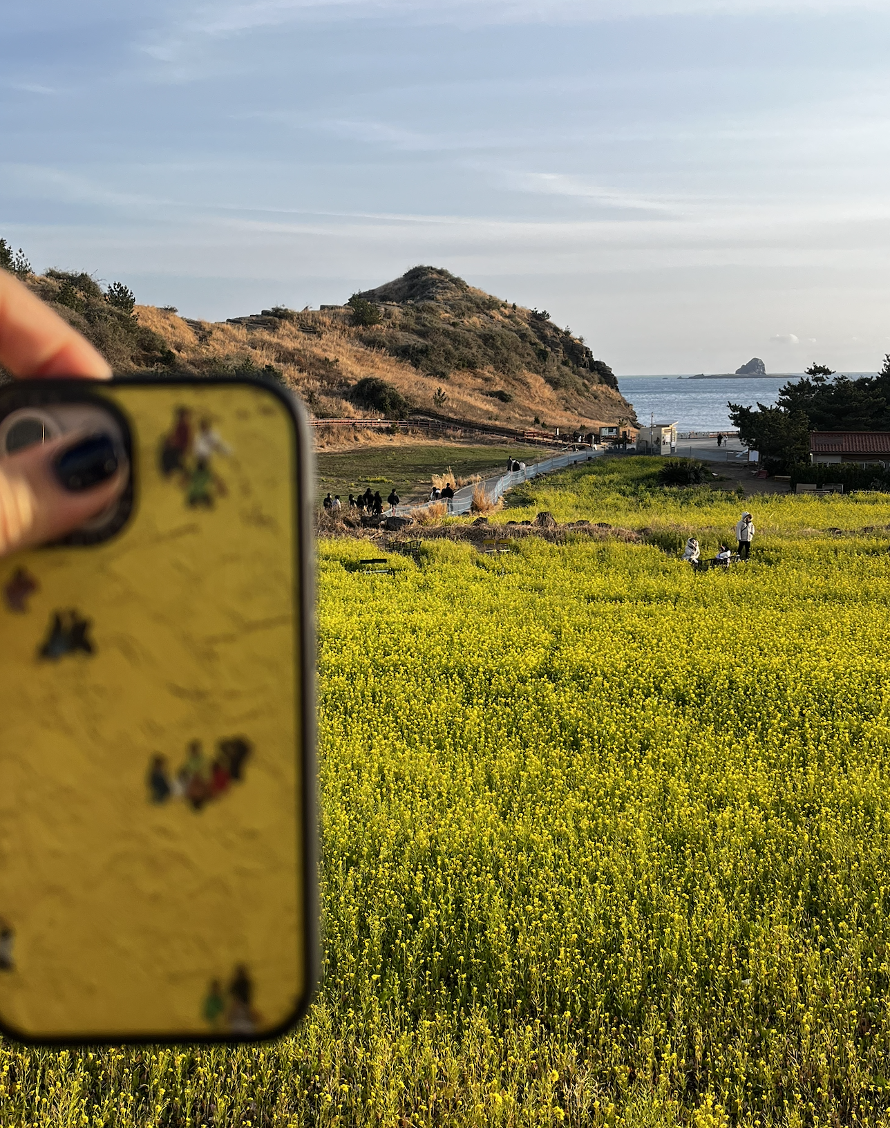 야외, 잔디, 하늘, 식물이(가) 표시된 사진AI 생성 콘텐츠는 정확하지 않을 수 있습니다.