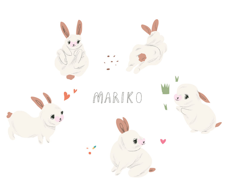 조그만 비타민 상자에 토끼를 담아 팔에 힘을 꽉 주고 살금살금 걸어 집에 데리 고 왔다.